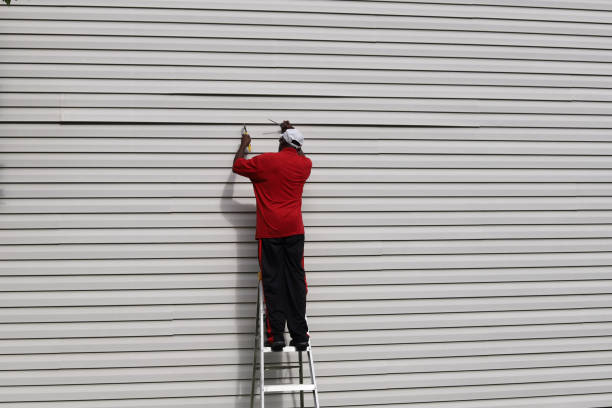 Affordable Siding Repair and Maintenance Services in Ofallon, IL